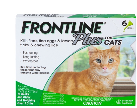 Frontline plus cat package front