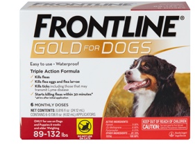 Frontline gold for dogs with XL dog 