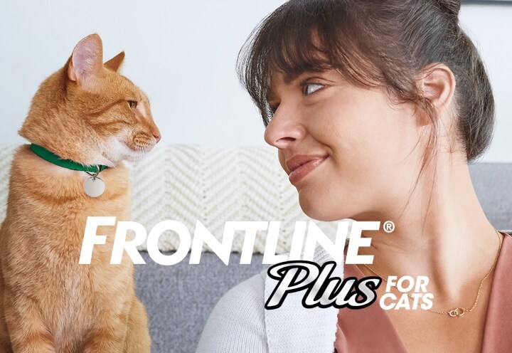 woman looks at cat