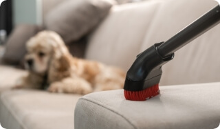 A Vacuum Cleaning a Couch while a Dog Sits there Indifferently | FRONTLINE® Flea and Tick Protection