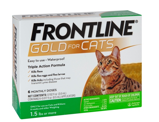 Frontline gold cat package front