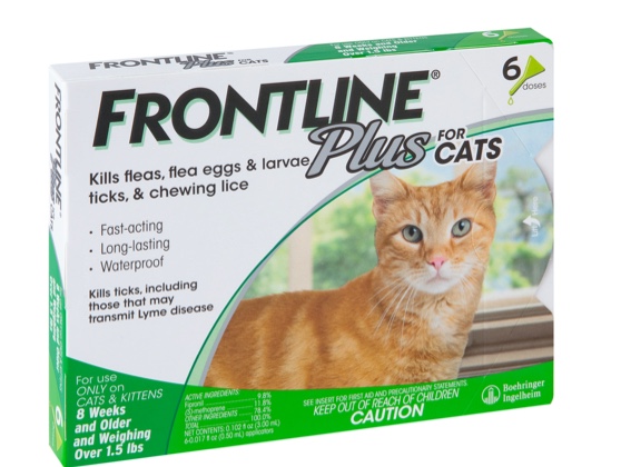 Frontline plus cat package front 