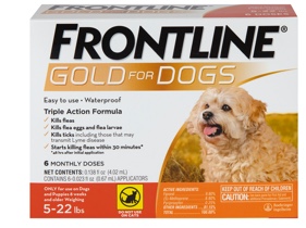 Frontline gold package with brown small dog