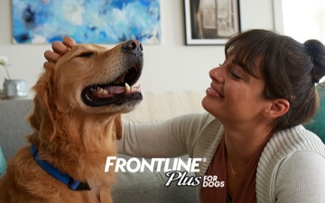 Woman pets a happy dog on the head