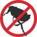 Icon of adult flea under the no symbol