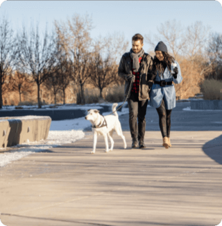 A couple walks a white dog in the park during early winter