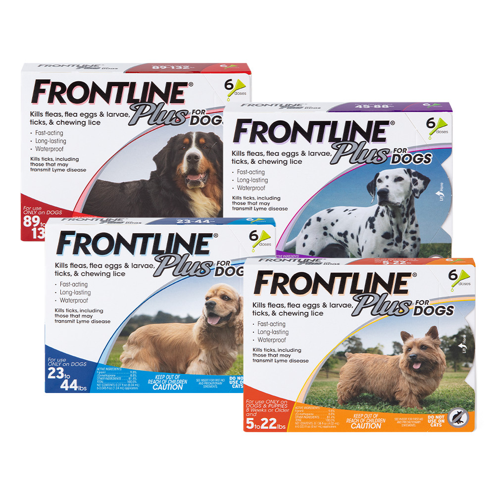 FRONTLINE® | Flea and Tick Protection for Dogs and Cats