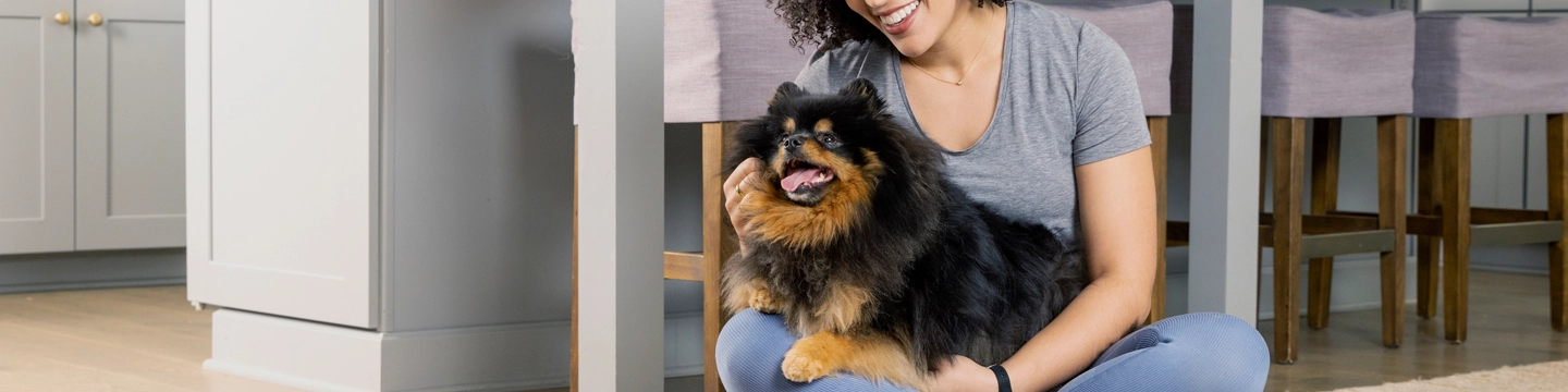 Frontline Plus for dogs hero product image